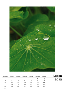 �ablona kalend��e